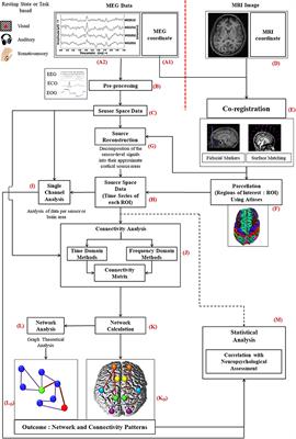 A Comprehensive Review of Magnetoencephalography (MEG) Studies for Brain Functionality in Healthy Aging and Alzheimer's Disease (AD)